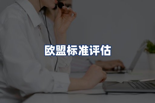 欧盟标准评估