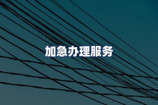 加急办理服务