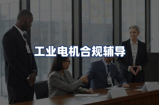 工业电机合规辅导